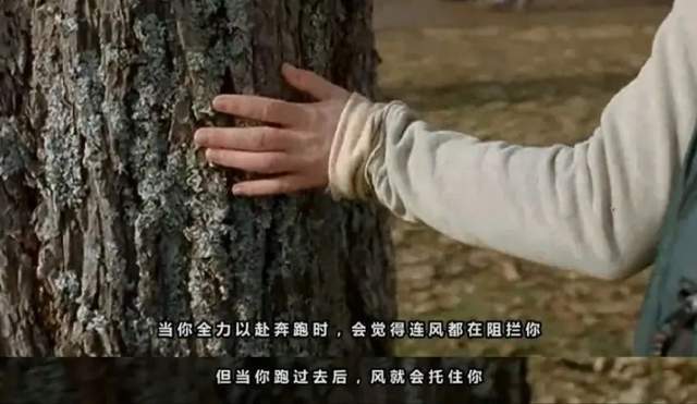 经济学院为何最后亲手弑母裹尸藏尸pg试玩他听话懂事优秀考入北大(图3)