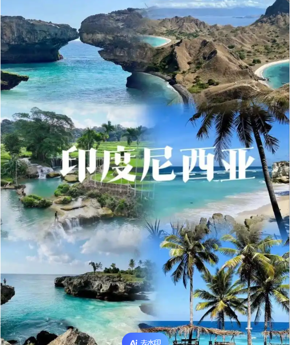 国国际电商(印尼)产业博览会pg电子娱乐平台2025中