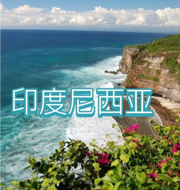 国国际电商(印尼)产业博览会pg电子娱乐平台2025中(图3) 国国际电商(印尼)产业博览会pg电子娱乐平台2025中(图3)