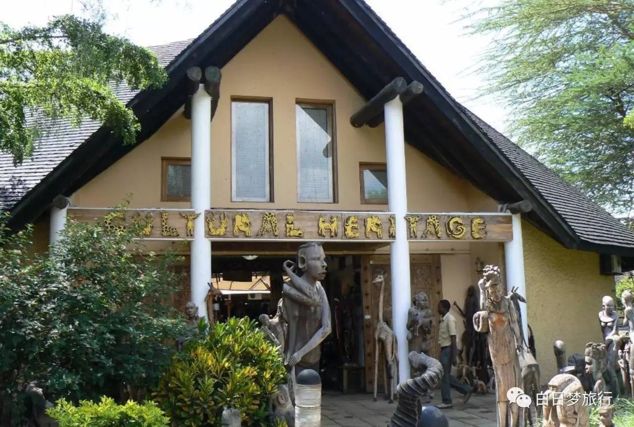 撒野 坦桑尼亚博物之旅pg电子高考后去非洲(图2)